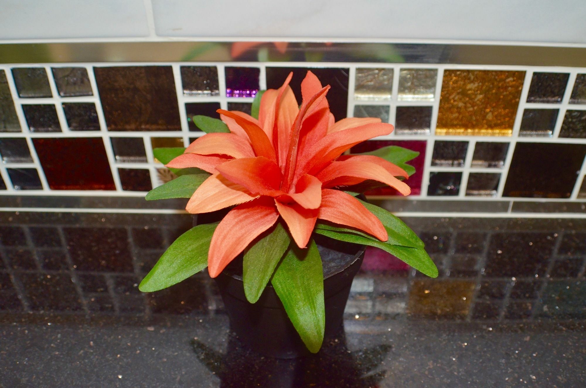 3 Bedroom House @skytrain Bangkok